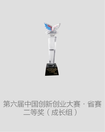中国创新创业大赛（广东赛区）成长组二等奖